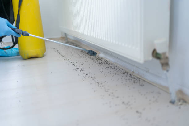 Best Exterminator Services  in Sylvester, GA