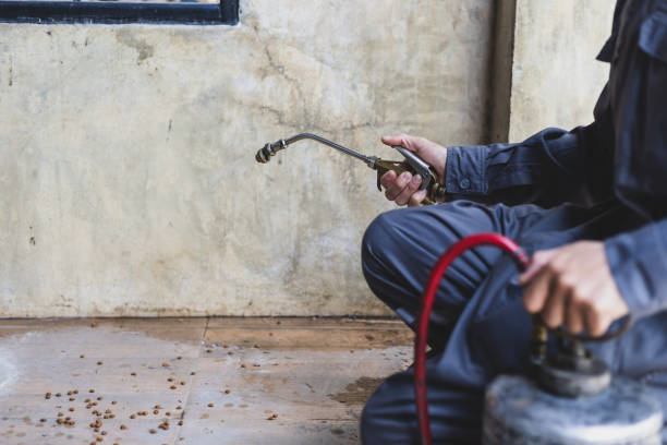 Best Ant Control Services  in Sylvester, GA
