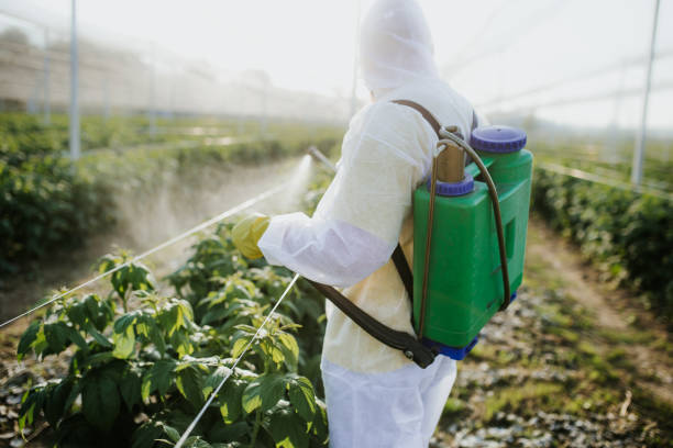  Sylvester, GA Pest Control Pros